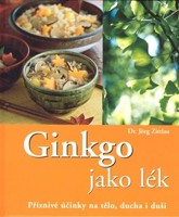 Ginkgo jako lék příznivé účinky na tělo, ducha i duši