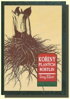 Kořeny planých rostlin