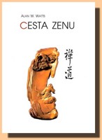 Cesta zenu