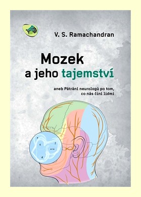 Mozek a jeho tajemství aneb Pátrání neurologů po tom, co nás činí lidmi