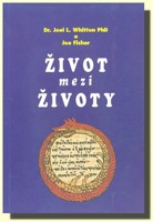 Život mezi životy