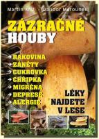 Zázračné houby léky najdete v lese