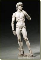 Davide di Michelangelo figma Figure 