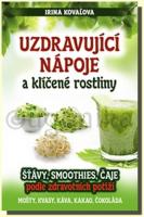 Uzdravující nápoje a klíčené rostliny šťávy, smoothies, čaje podle zdravotních potíží
