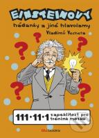 Einsteinovy hádanky a jiné hlavolamy 