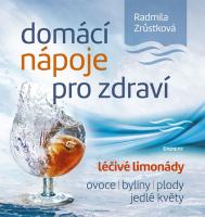 Domácí nápoje pro zdraví léčivé limonády, ovoce, byliny, plody, jedlé květy